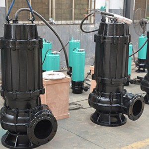 15KW 20HP 215M3/H 10M Head Sewage Water Pump In UAE